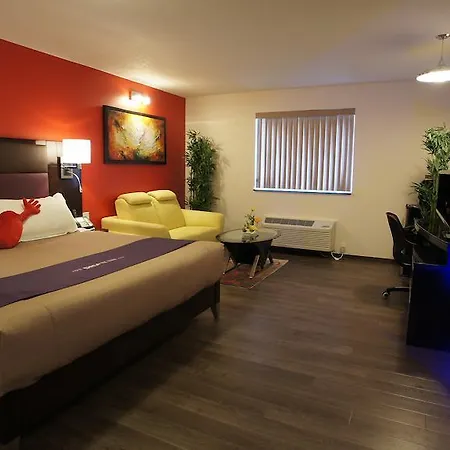 Dreamz Inn Goderich Room photo