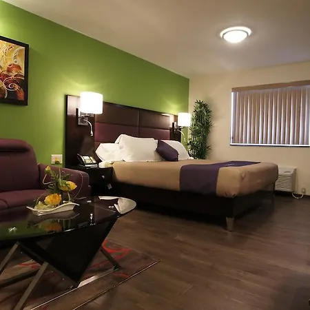 Dreamz Inn Goderich Room photo
